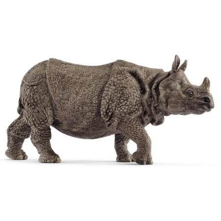 Immagine di Rinoceronte Indiano 14816 