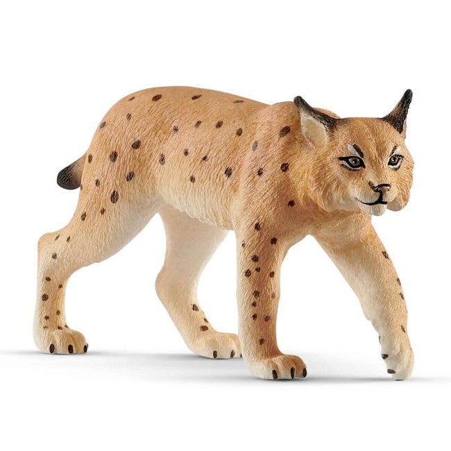 Immagine di Lince 14822 