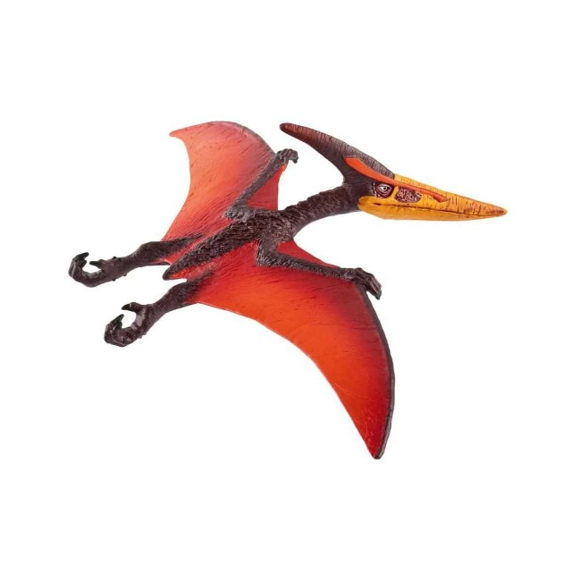 Immagine di Pteranodonte 15008 