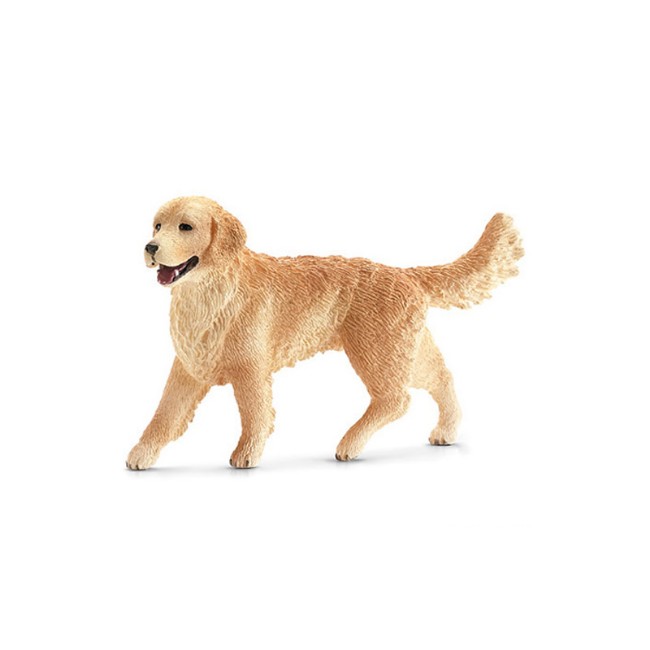 Immagine di Golden Retriever Femmina 16395 