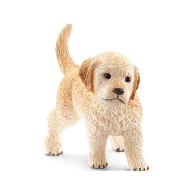 Immagine di Golden Retriever Cucciolo 16396 