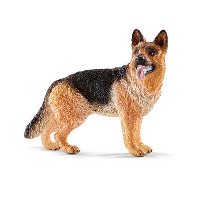 Immagine di Cane da Pastore 2516831 