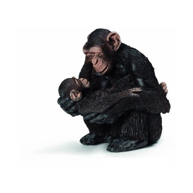 Immagine di Scimpanze' Femmina Con Cuccioli 14679 
