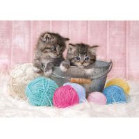 Immagine di Puzzle Sweet Kittens Dolci Gattini 104 Pezzi