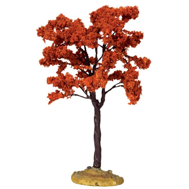 Immagine di Yellowwood Tree Medium 44799