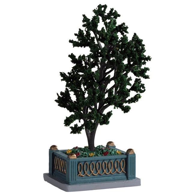 Immagine di Village Tree - 94532