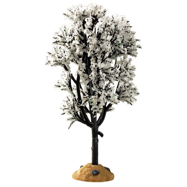 Immagine di White Hawthorn Tree - 94540