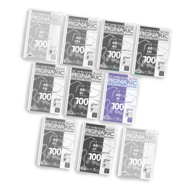 Immagine di Ricambi A4 Pignaric Rinforzati 1R (40 Fogli 100 g/m2) 