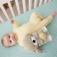 Immagine di Fisher-Price Lontra Soffice Relax 