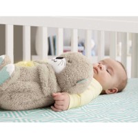 Immagine di Fisher-Price Lontra Soffice Relax 