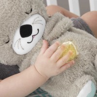 Immagine di Fisher-Price Lontra Soffice Relax 