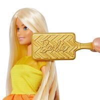 Immagine di Barbie Ricci Perfetti 