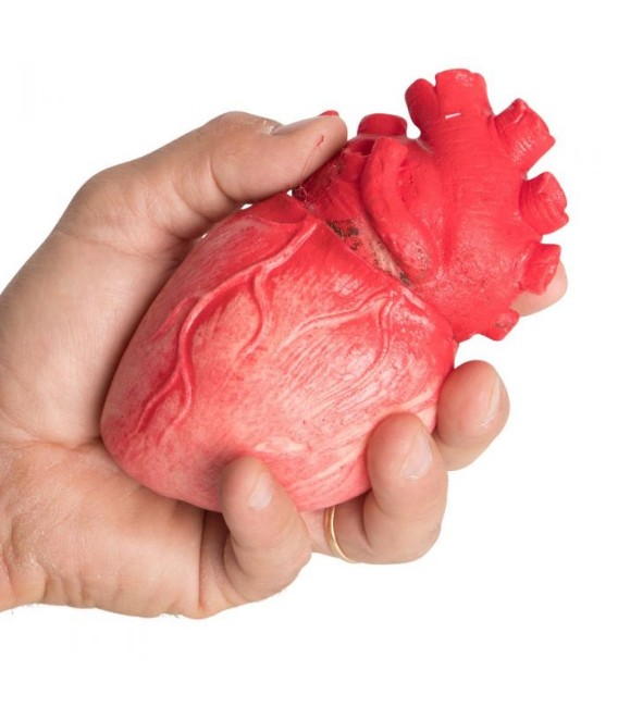 Immagine di Cuore insanguinato in plastica 