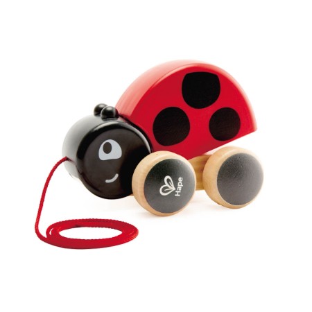 Coccinella Trainabile 