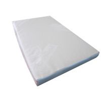 Immagine di Guanciale Lettino Antiacaro Sanitized 