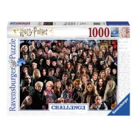 Immagine di Puzzle Challenge Harry Potter 1000 Pezzi 