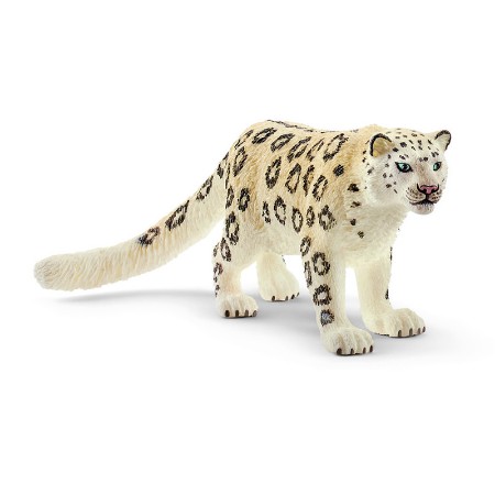 Immagine di Leopardo delle Nevi 14838 