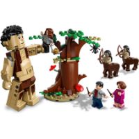 Immagine di LEGO Harry Potter La foresta Proibita: l'Incontro con la Umbridge 75967 