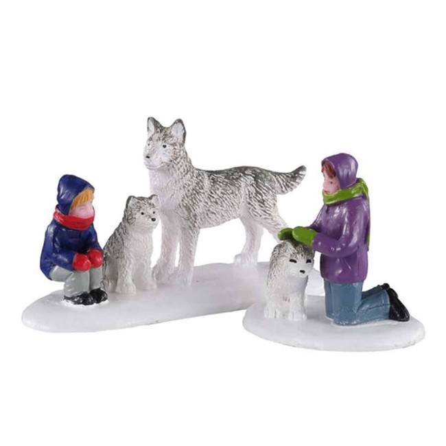Immagine di Future Sled Dogs - 02941