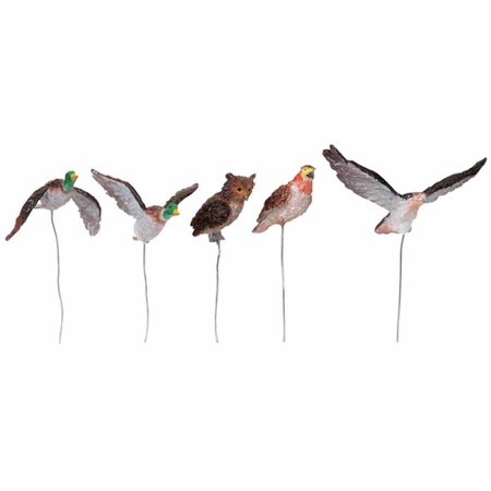 Immagine di Assorted Birds Set of 5 - 84817