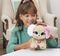 Immagine di Present Pets Cucciolo Fancy 