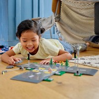 Immagine di LEGO City Piattaforme Stradali 60304