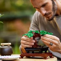 Immagine di LEGO Creator Expert Albero Bonsai 10281 