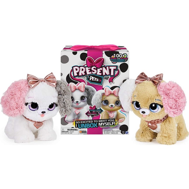 Immagine di Present Pets Cucciolo Fancy 