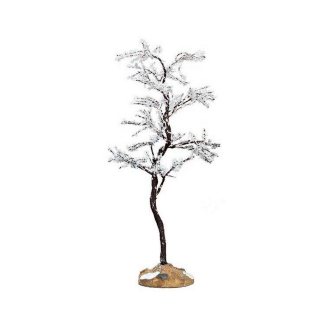 Immagine di L'Albero con Rugiada 74250 - Medio