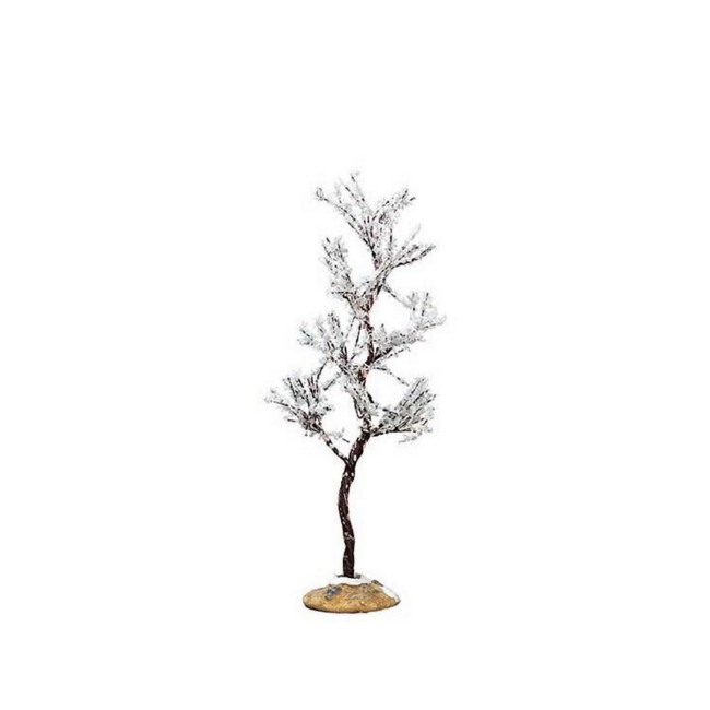 Immagine di L'Albero con Rugiada 74251 - Piccolo