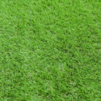 Prato Sintetico Wimbledon spessore 35 mm - 3x2 metri