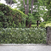 Immagine di Siepe Artificiale Sempreverde Point Edera 150x300cm
