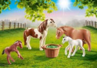 Immagine di Famiglia di Pony - 70682