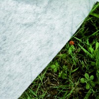 Immagine di Tappeto di Protezione per Piscina Fuori Terra 550cm 