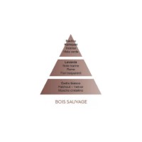 Bois Sauvage  Maison Berger Paris