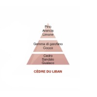 Cedre du Liban Maison Berger Paris