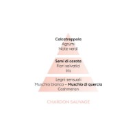 Chardon Sauvage Maison Berger Paris