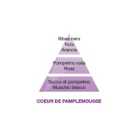 Maison Berger Paris Cœur de Pamplemousse