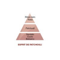Maison Berger Esprit de Patchouli - Ricarica per Lampada Catalitica Lampe Berger 500 ml