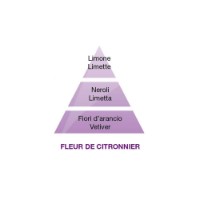 Maison Berger Fleur de Citronnier - Ricarica per Lampada Catalitica Lampe Berger 500 ml