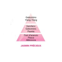 Maison Berger Jasmin Précieux - Ricarica per Lampada Catalitica Lampe Berger 500 ml