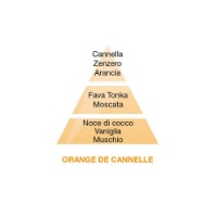 Maison Berger Orange de Cannelle - Ricarica per Lampada Catalitica Lampe Berger 500 ml