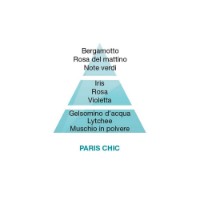 Maison Berger Paris Chic - Ricarica per Lampada Catalitica Lampe Berger 500 ml è una ricarica da 500 ml