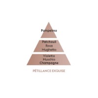 Maison Berger Pétillance Exquise - Ricarica per Lampada Catalitica Lampe Berger 500 ml