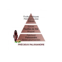 Précieux Palissandre Ricarica per Lampada Catalitica  Maison Berger Paris 