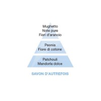 Savon d'Autrefois Ricarica per Lampada Catalitica Maison Berger Paris