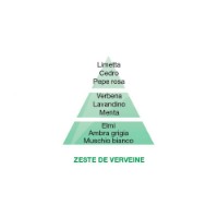 Maison Berger Zeste de Verveine - Ricarica per Lampada Catalitica Lampe Berger 500 ml