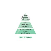 Vent d'Océan Ricarica per Lampada Catalitica Maison Berger Paris