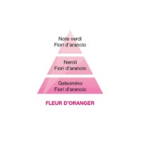Maison Berger Fleur d'Oranger - Ricarica per Lampada Catalitica Lampe Berger 500 ml