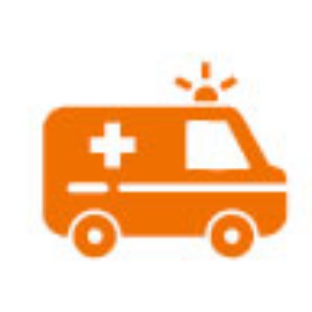 Immagine per la categoria Veicoli Emergenza e Militari